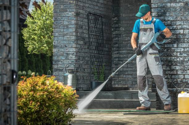 Best Soft Washing  in Stonewood, WV