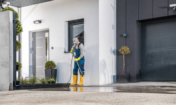 Best Gutter Cleaning  in Stonewood, WV